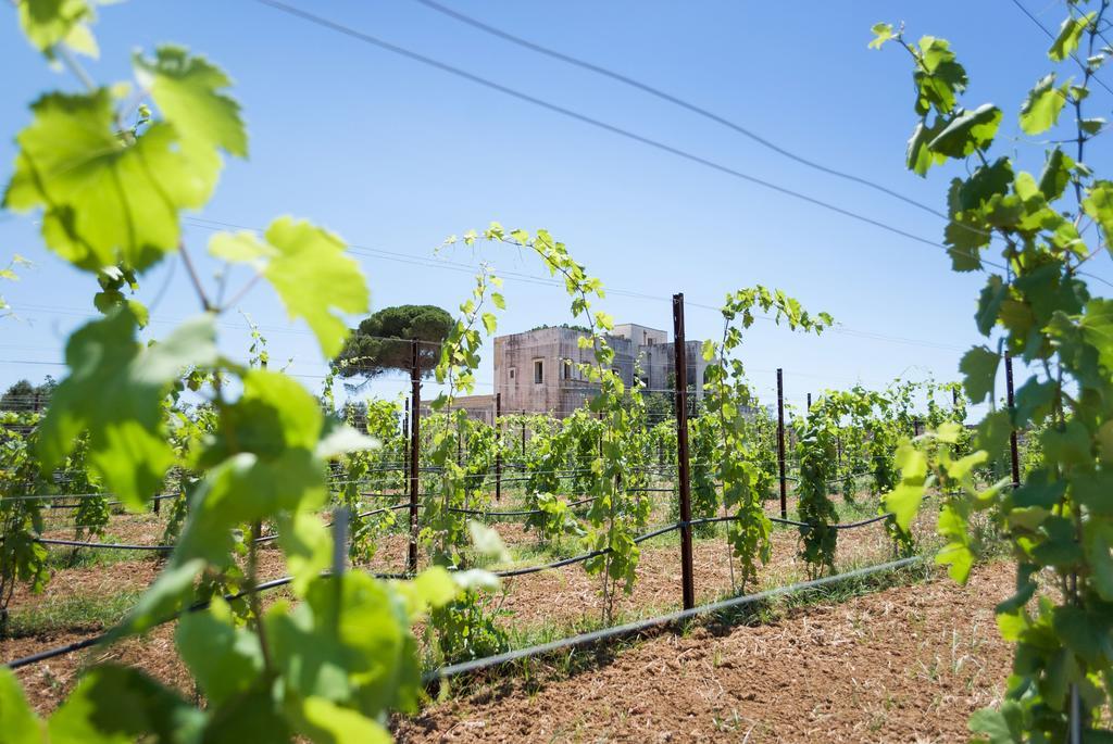 Tenuta Mose Charming House&Relais Gallipoli Exterior foto